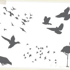 Birds - vector gratuit #223563